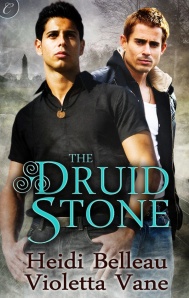 The Druid Stone Cover
